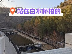 -白水寺森林公园