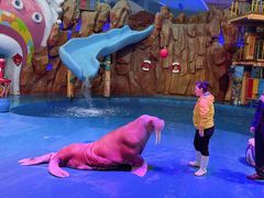 -烟台海昌鲸鲨海洋公园