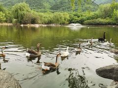 -西安秦岭野生动物园