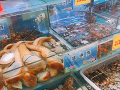 水产区-海鲨湾海鲜会馆(百家湖1912店)