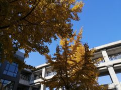 -北京工商大学(良乡校区)