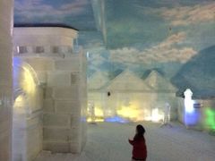 iphone_upload_pic-世界之窗阿尔卑斯冰雪世界