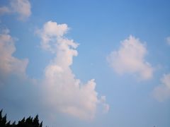 -王府井天主教堂