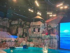 -芜湖新华联大白鲸海洋公园