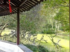 -上海醉白池公园