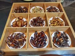 -昆虫窝子·特色云南菜(拓东路总店)