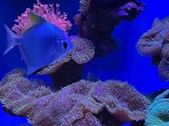 -上海海昌海洋公园