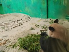 -杭州野生动物世界