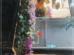 -溪岸路花鸟市场