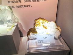 -湖南省地质博物馆