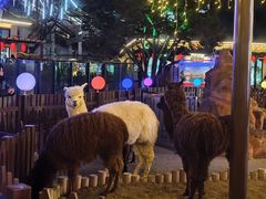 -大连森林动物园