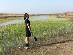 -南汇嘴观海公园