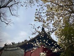 -潭柘寺景区
