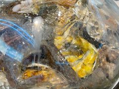 -大锅强·蒸海鲜青岛菜(吾悦广场店)