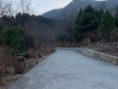 -北京鹫峰国家森林公园