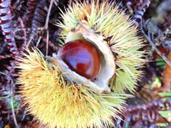 -中国广电东方有线(泉口路营业厅)