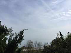 -东方熊牧场