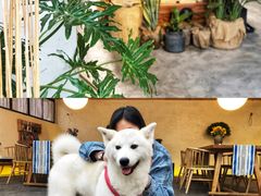 -云里小坐·小院里·团建·宴请·下午茶(三圣乡店)