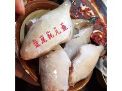 蓝尾耗儿鱼-肥龙火锅(南坪店)