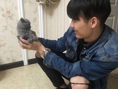 -喵zoo家庭繁育猫舍(尖东智能花园店)