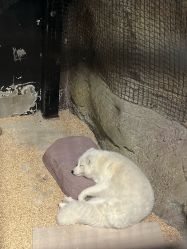 -酷嗒动物文化乐园(cutezoo西溪乐天城店)