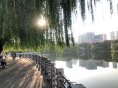 -后襄河公园