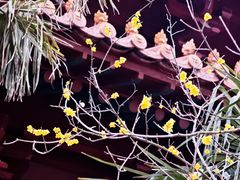 -天静宫
