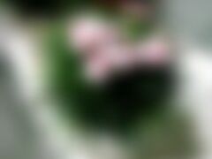 -高铁便当(长白街店)