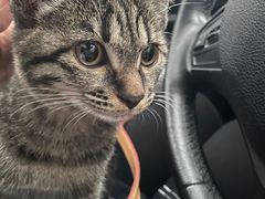 -安安宠医·安宠宠物医院