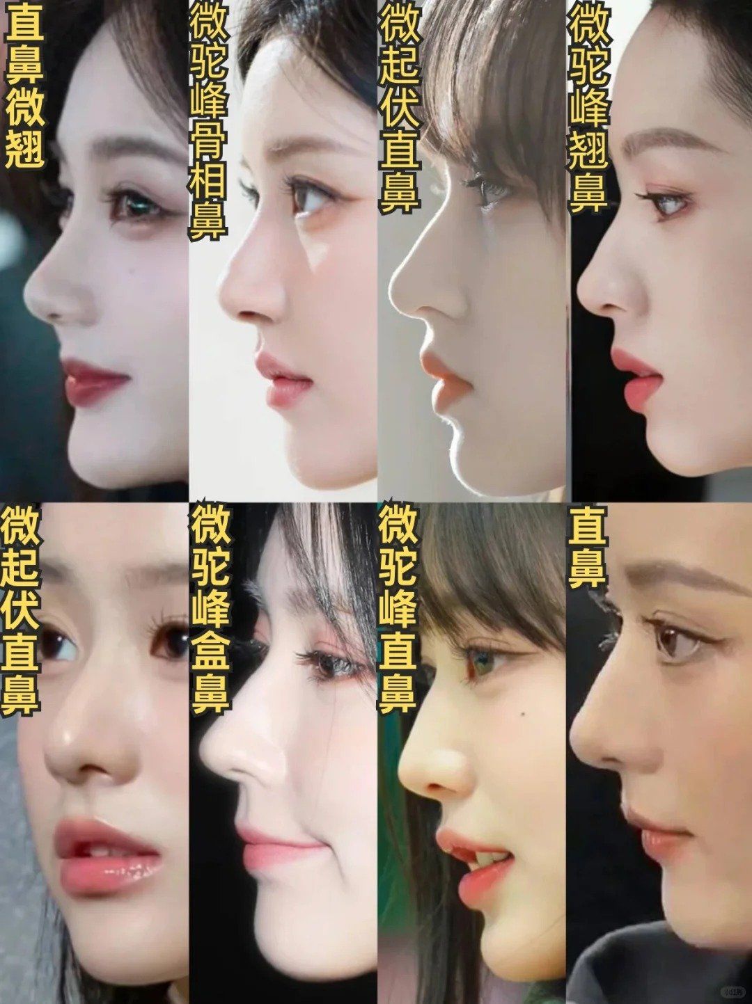 哪位女明星的鼻子是你心目中的隆鼻模板?