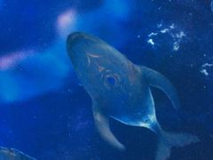 -芜湖方特东方神画