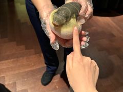 -肆月河豚·淮扬菜·湘菜(华天店)