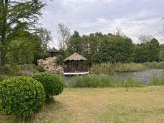 -东平国家森林公园