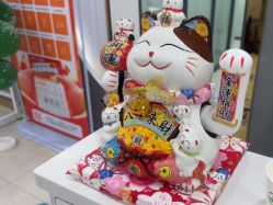 -苗医生专业祛痘·皮肤管理