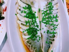 -船歌·鱼水饺青岛菜(石老人店)