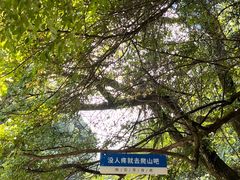-石台牯牛降景区
