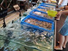 -渔家火锅·海鲜自助餐·演艺(亚龙湾天域酒店)