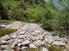 -青峰峡国家森林公园