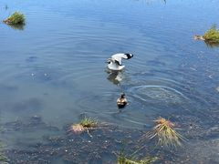 -花湖生态旅游区