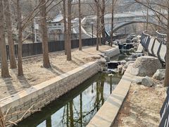 -白水寺森林公园
