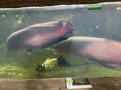 -青青世界