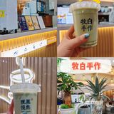 🌿一口喝到春天!牧白手作抹茶鲜奶茶