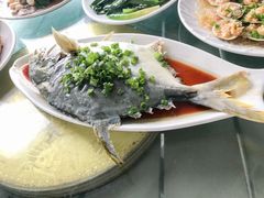 -七鲜渔港美食餐厅(巽寮湾海景店)