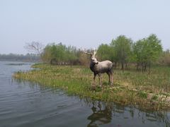 -溱湖国家湿地公园