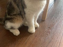 -参差咖啡(水果湖公园店)