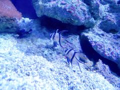 -成都浩海立方海洋公园