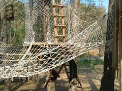 -蟠龙山长城景区