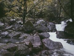 -白云源风景区