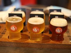 -Boxing Cat Brewery拳击猫精酿啤酒馆(永福店)