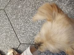 -Dal Cuore 达可芮冰淇淋(陕西北路店)